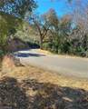 28618 Chihuahua Valley Road - Photo 11