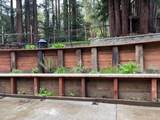 450 Bernstein Drive - Photo 46