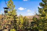 1251 Kodiak Drive - Photo 41
