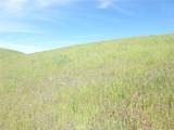0 Douglas Rd. (Lot 41) - Photo 11