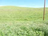 0 Douglas Rd. (Lot 41) - Photo 12