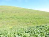 0 Douglas Rd. (Lot 41) - Photo 14