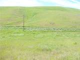 0 Douglas Rd. (Lot 41) - Photo 3