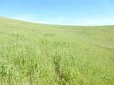 0 Douglas Rd. (Lot 41) - Photo 5