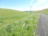 0 Douglas Rd. (Lot 41) - Photo 7