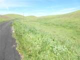 0 Douglas Rd. (Lot 41) - Photo 8