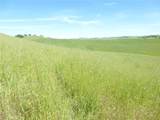 0 Douglas Rd. (Lot 43) - Photo 10