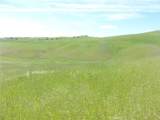 0 Douglas Rd. (Lot 43) - Photo 14
