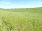0 Douglas Rd. (Lot 43) - Photo 7