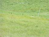 0 Douglas Rd. (Lot 43) - Photo 9