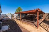 16433 Ocotilla Rd. - Photo 38