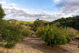 4242 Las Tablas Willow Creek Road - Photo 49