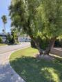 69411 Ramon Road - Photo 8