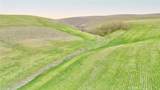 3780 Gillis Canyon Road - Photo 14