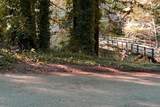 0 Riverside Road - Photo 1