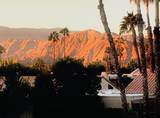 43337 Lacovia Drive - Photo 4