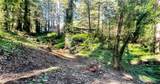 18176 Hwy 116 - Photo 4