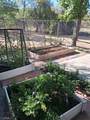 48208 Tanglewood Court - Photo 43