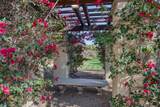 520 Calle Vibrante - Photo 28