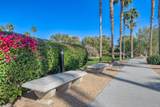 520 Calle Vibrante - Photo 29