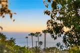 592 Bluebird Canyon Drive - Photo 65