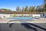 625 Thunder Gulch - Photo 6