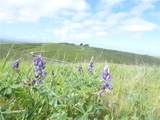 0 Yosemite Place - Photo 32