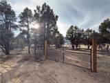 1820 Golden Rod - Photo 7