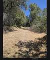 1371 Moccasin Trail - Photo 23