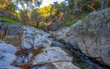 93706 Via Escondido - Photo 10