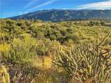 0 Highway 79 - Photo 4