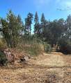 1318 Pearson Road - Photo 5