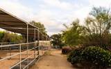 16761 Artesian Breeze Way - Photo 9