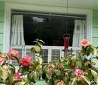 31400 Sherwood Road - Photo 7