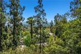 7238 Woodvale Court - Photo 38