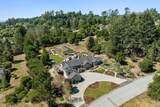 321 Pine Forest Drive - Photo 3