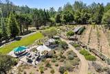 321 Pine Forest Drive - Photo 52