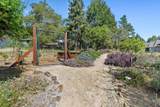 321 Pine Forest Drive - Photo 54