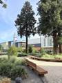 175 Sunnyvale Avenue - Photo 44