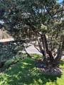 432 Edgehill - Photo 15