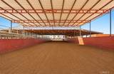 34338 Nevis - Photo 4