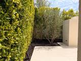 124 Sunnyslope - Photo 61