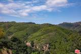 4015 Latigo Canyon Road - Photo 14