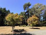 31290 Thomas Lane - Photo 3