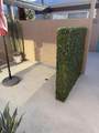 1111 Palm Canyon Drive - Photo 29