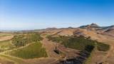 3515 Turri Road - Photo 1