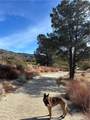 0 Upper Valley Road - Photo 6