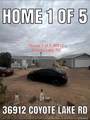 37132 Coyote Lake Rd - Photo 10