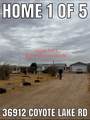 37132 Coyote Lake Rd - Photo 11