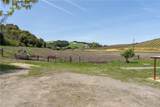2925 Oakdale Road - Photo 34